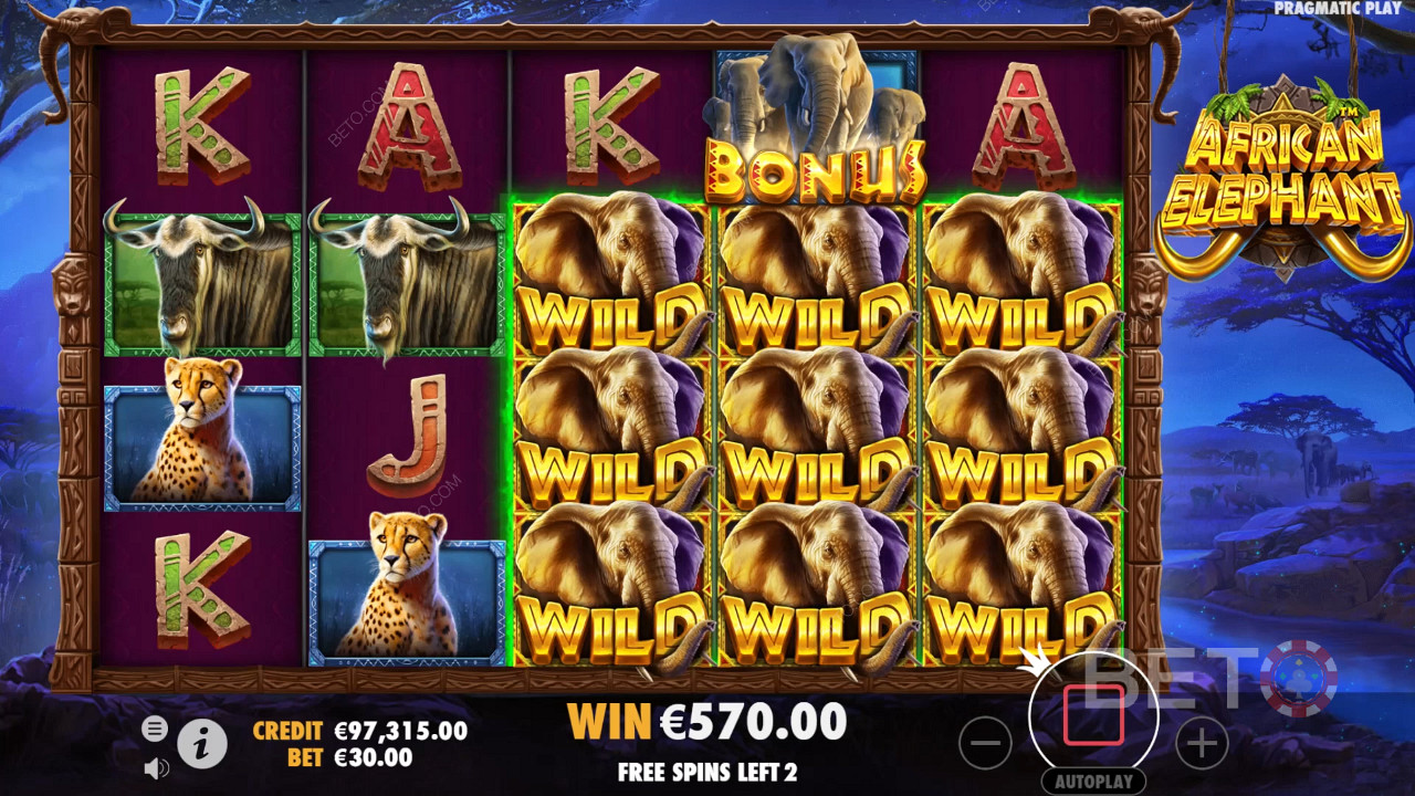 مراجعة الفيل الأفريقي بواسطة ماكينات القمار BETO Slots