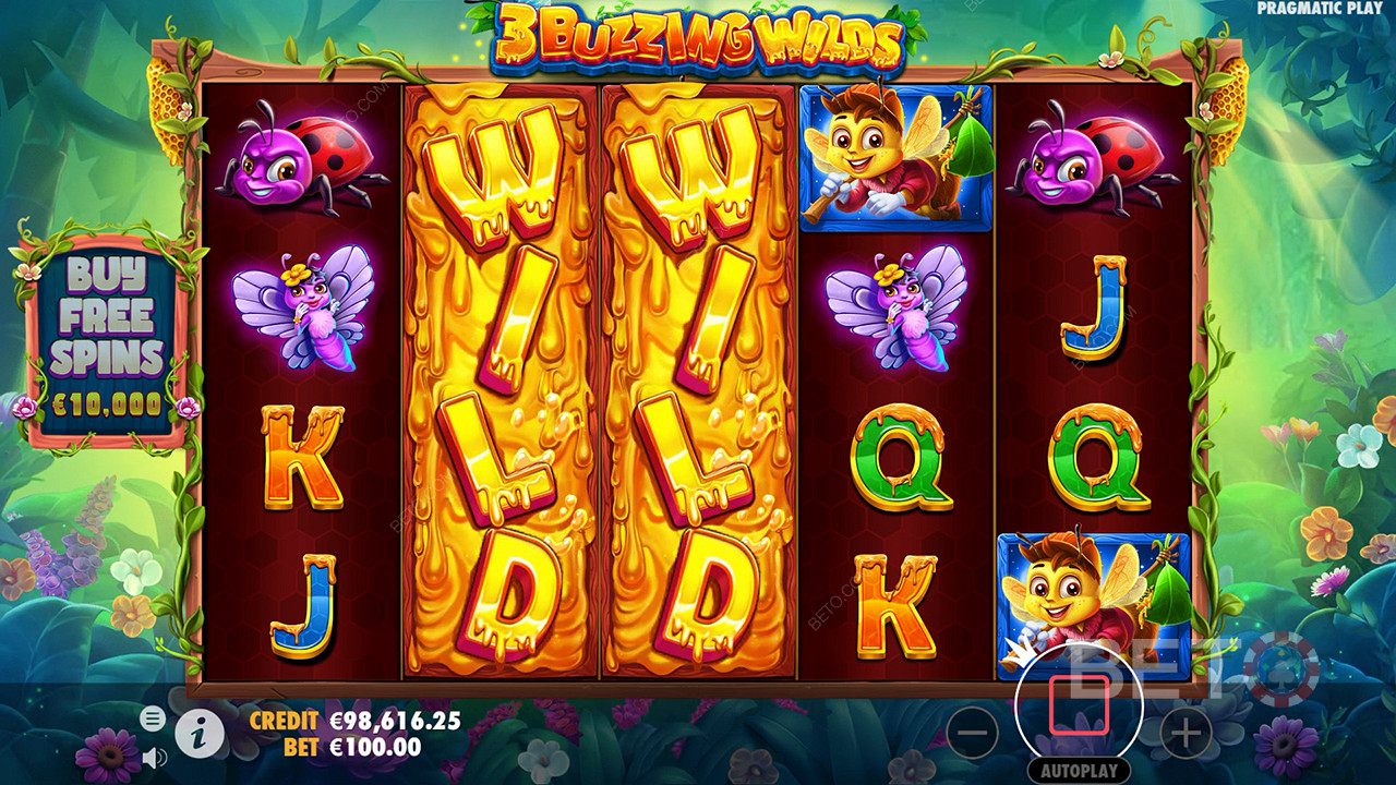 3 مراجعة Buzzing Wilds بواسطة BETO Slots