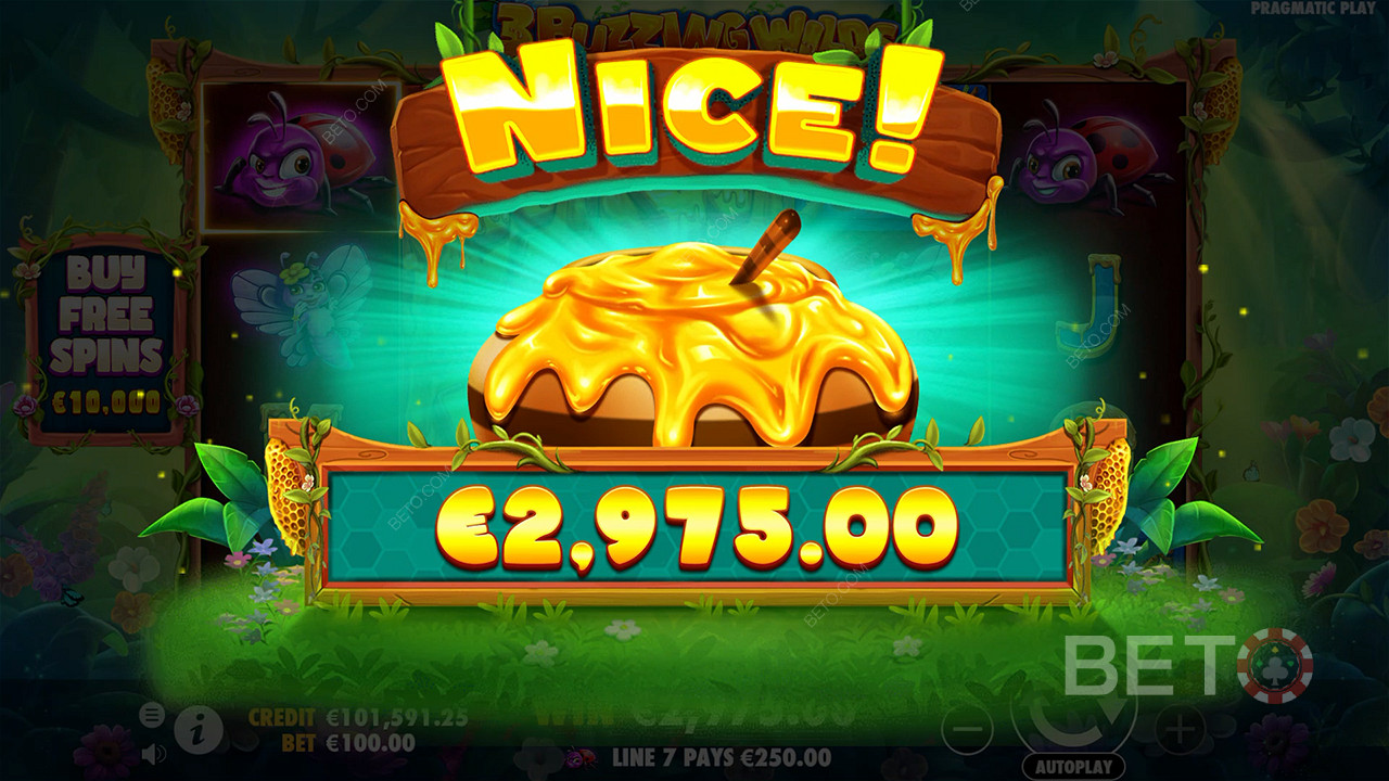 اربح 5,000 ضعف رهانك في فتحة 3 Buzzing Wilds Slot على الإنترنت!