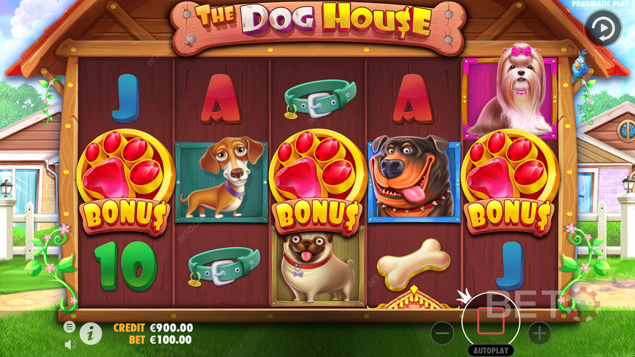 الحصول على ثلاثة رموز مبعثرة في The Dog House