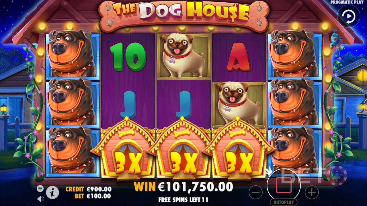 الحصول على كومبو عالي الأجر على بكرات The Dog House