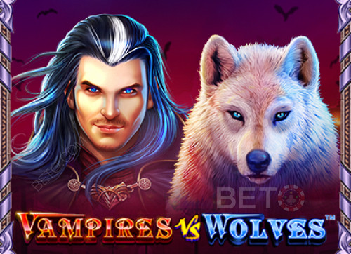 Vampires vs Wolves