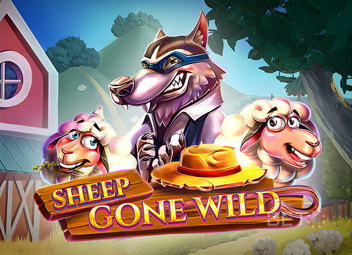 Sheep Gone Wild