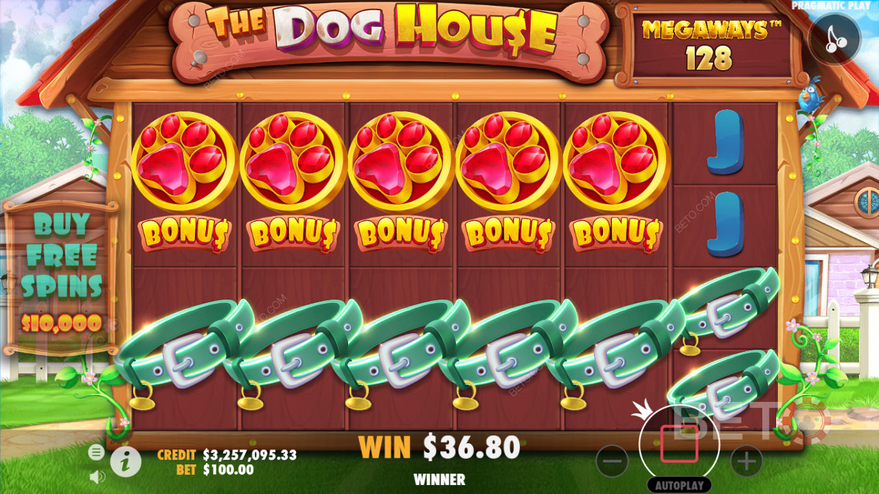 واجهة اللعب المفصلة لفتحات كازينوهات The Dog House Megaways