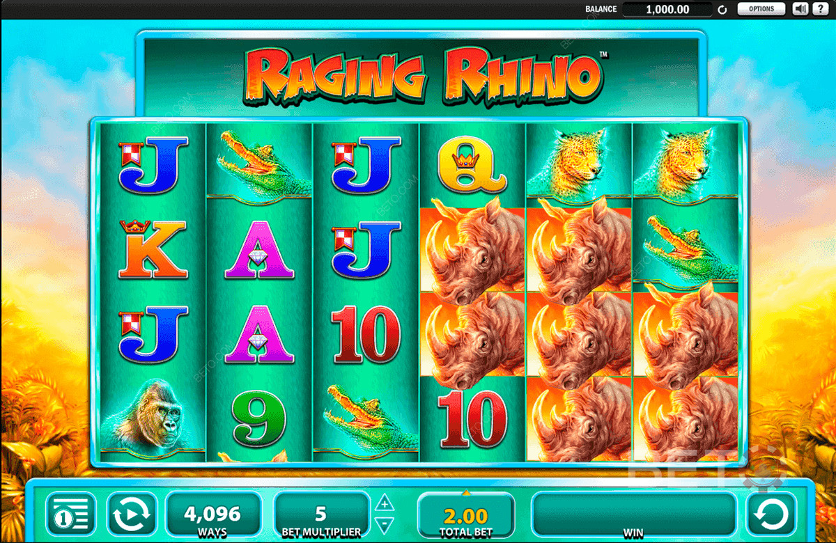 هيكل من ستة بكرات وأربعة صفوف من Raging Rhino