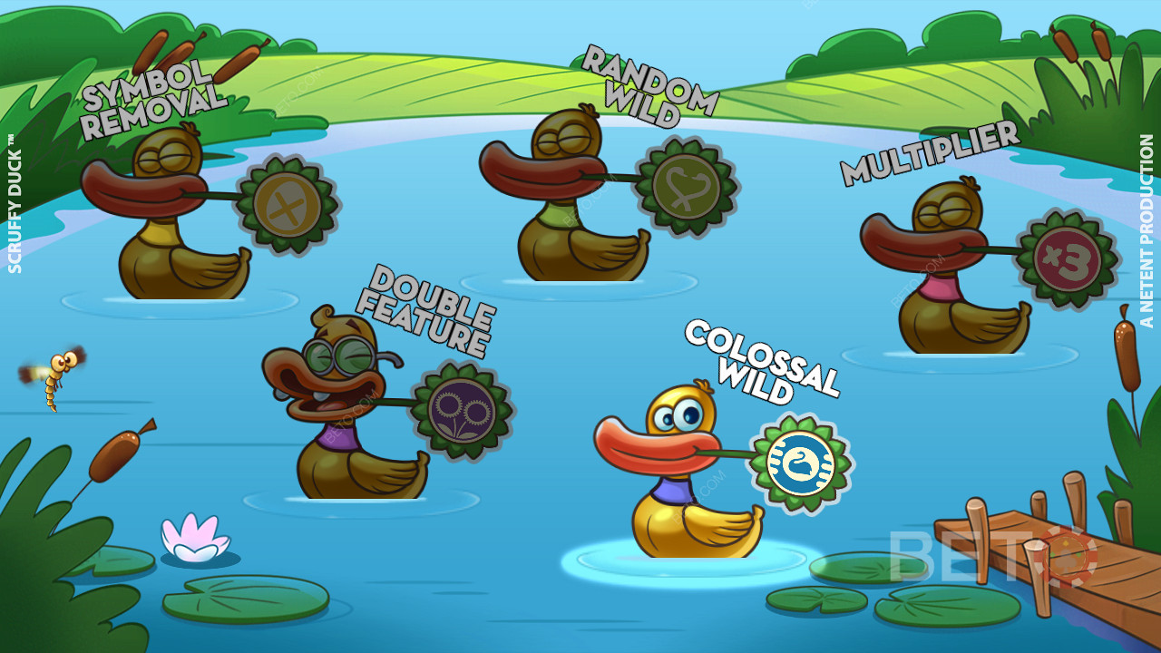 في Scruffy Duck انتظر حتى تتحول البطة القبيحة إلى بجعة جميلة
