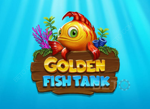 Golden Fish Tank