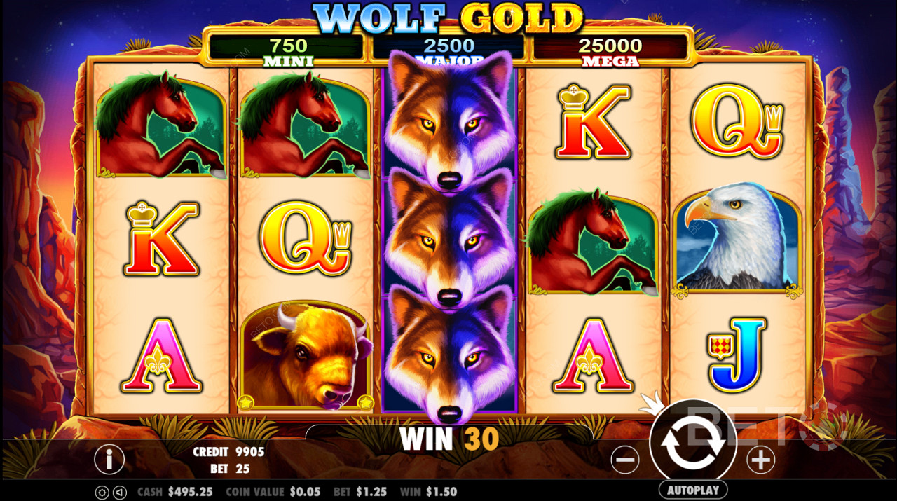 Wolf Gold - تعال وانضم إلى الذئب والحياة البرية في أمريكا الشمالية