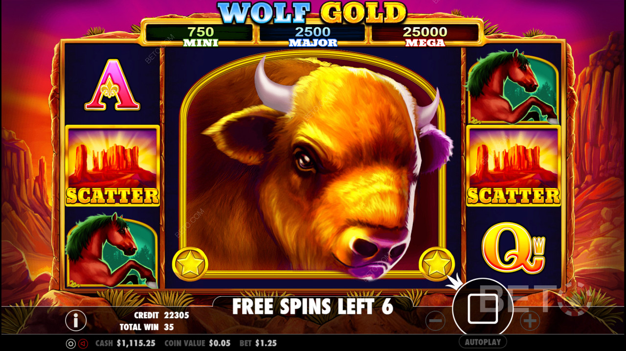 موضوع Wolf Gold الأمريكي - يحظى بشعبية كبيرة