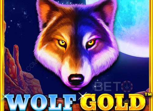 Wolf Gold