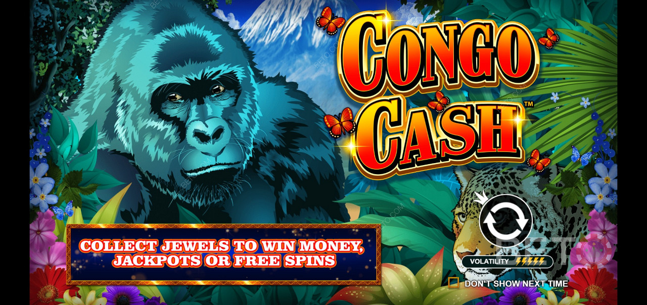 Congo Cash - انضم إلى Silverback في مغامرة الغابة
