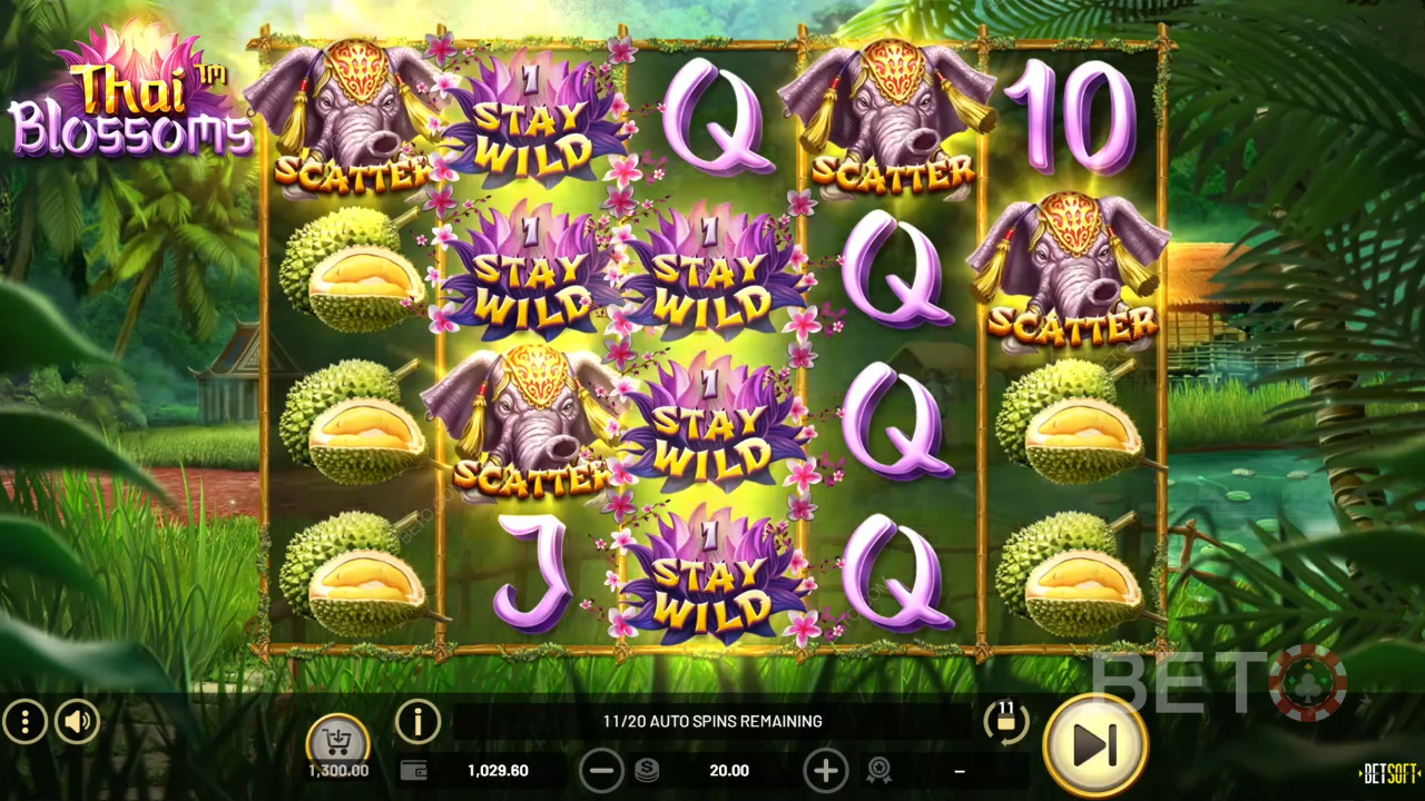 مراجعة الأزهار التايلاندية من BETO Slots
