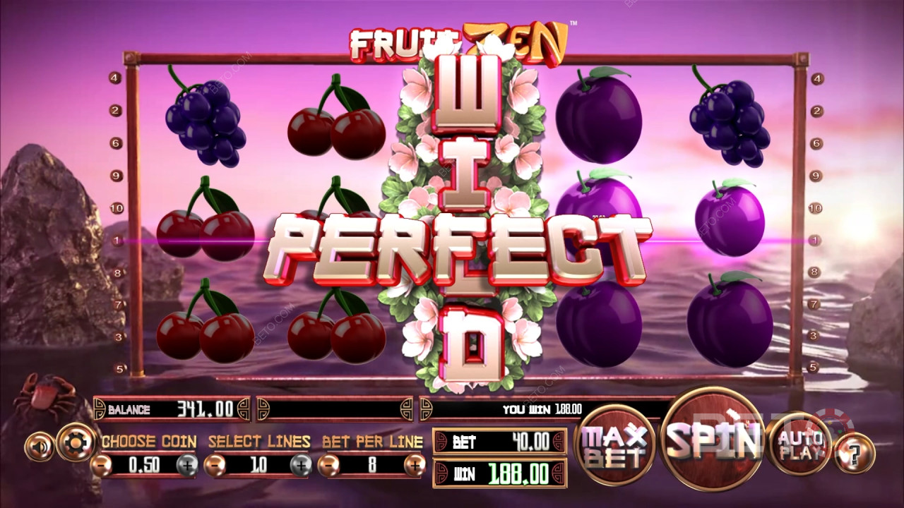 مراجعة لعبة Fruit Zen من BETO Slots