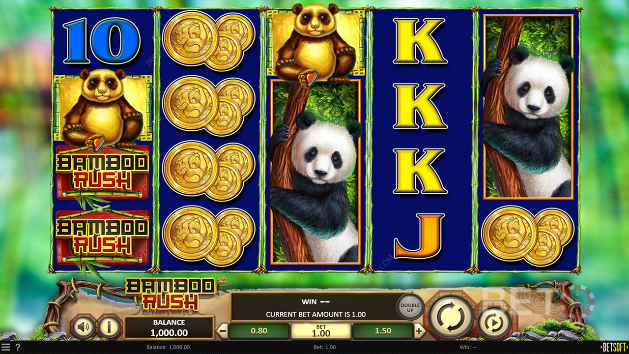 مراجعة Bamboo Rush من BETO Slots