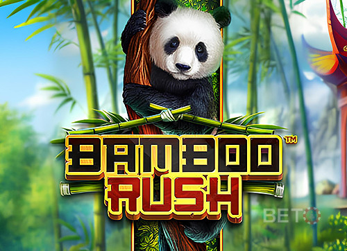 Bamboo Rush