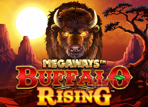 Buffalo Rising Megaways