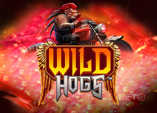 Wild Hogs