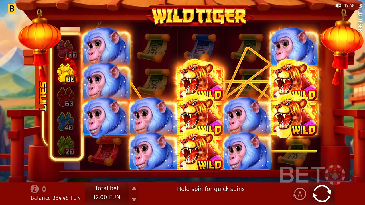 مراجعة Wild Tiger من BETO Slots