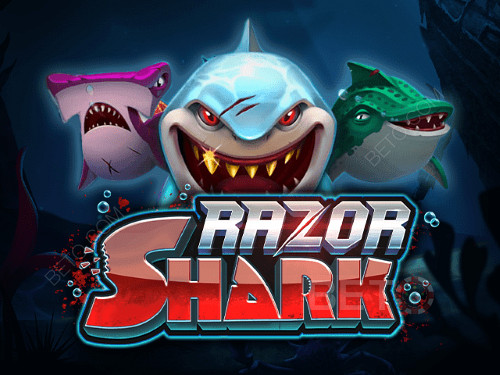 فتحة على الانترنت Razor Shark