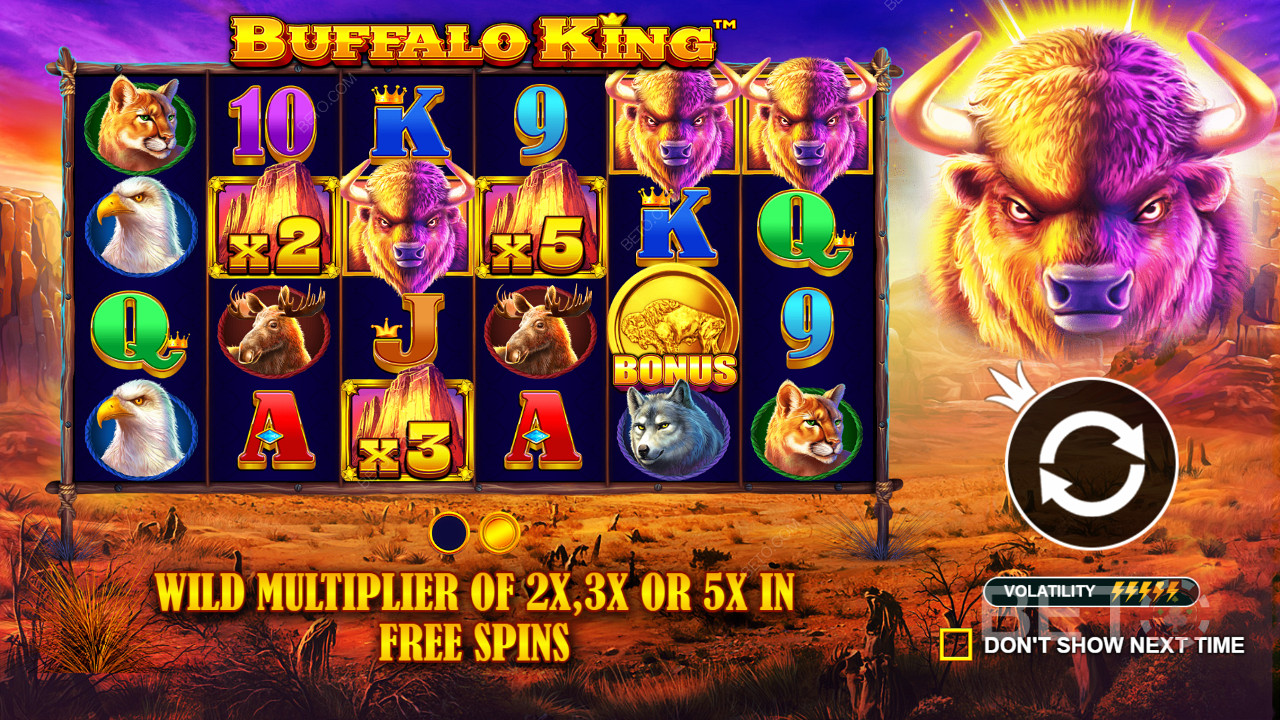 يمكن أن يكون لجميع الرموز البرية تأثير مضاعف قدره 2x أو 3x أو 5x في Buffalo King