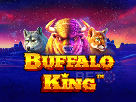 Buffalo King  نسخة تجريبية