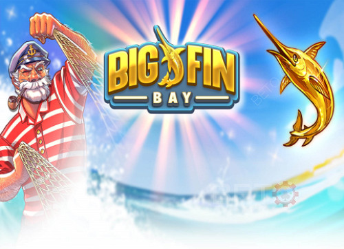 Big Fin Bay 
