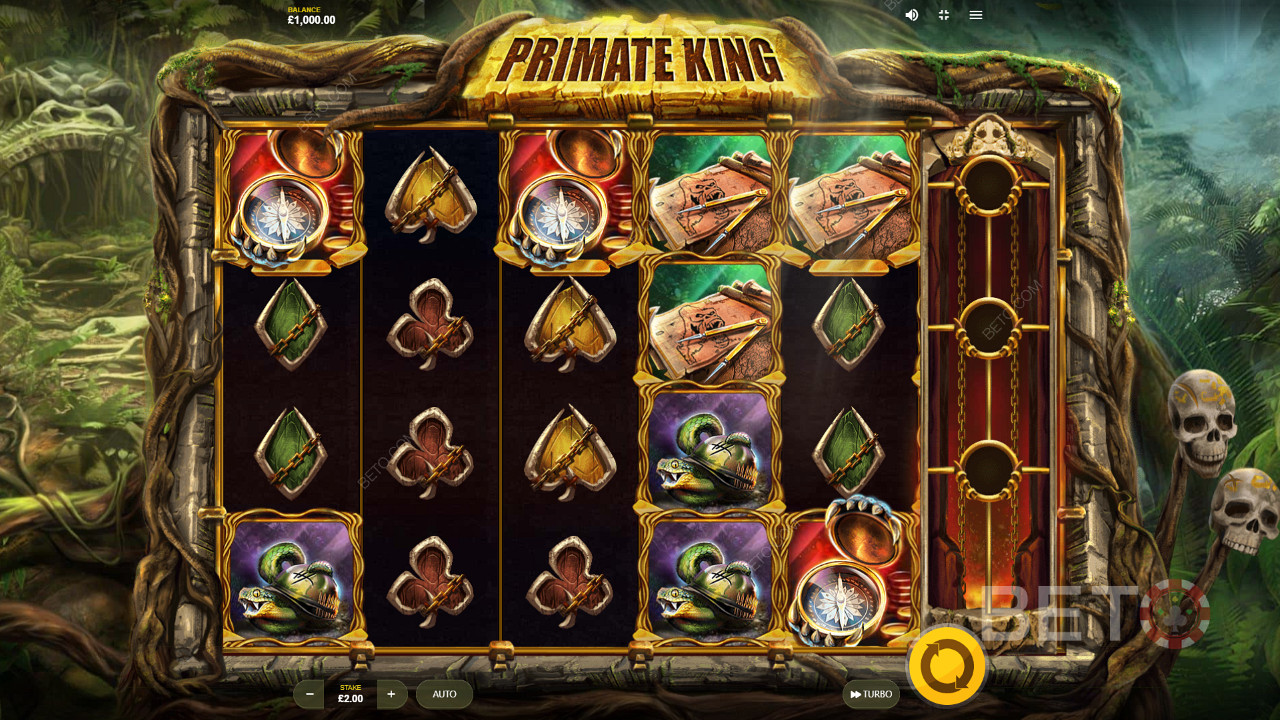 يمتلك Primate King نسبة RTP تبلغ 96٪