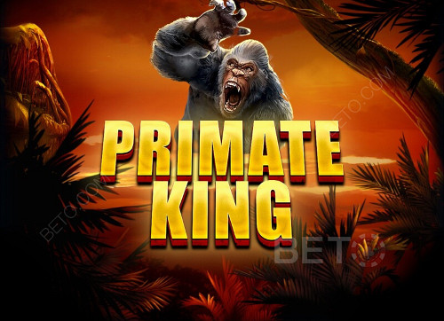 Primate King