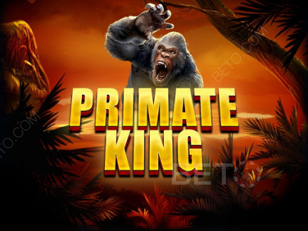 Primate King نسخة تجريبية