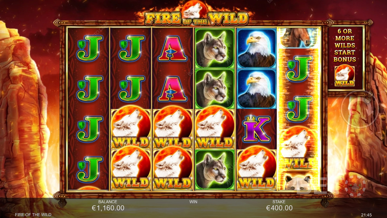 مراجعة Fire of the Wild Review من BETO Slots