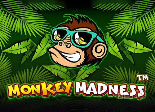 Monkey Madness 
