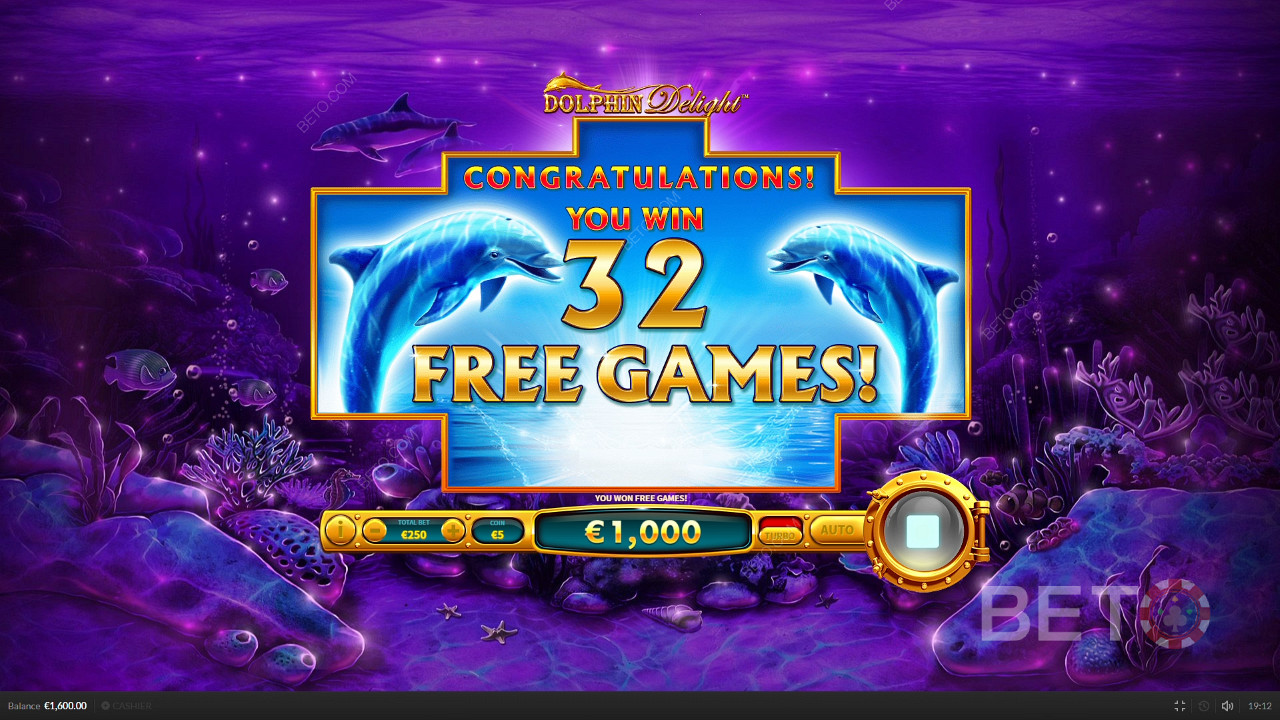 الحصول على بعض الدورات المجانية في Dolphin Delight