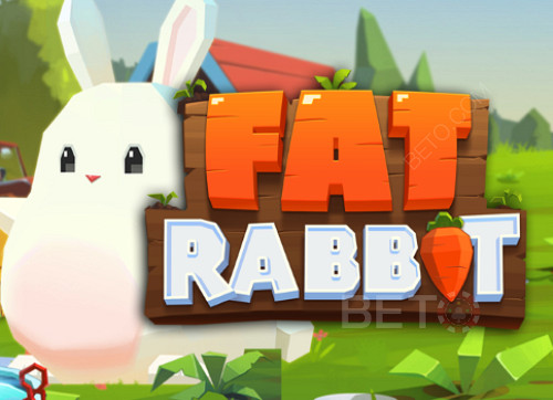 Fat Rabbit 