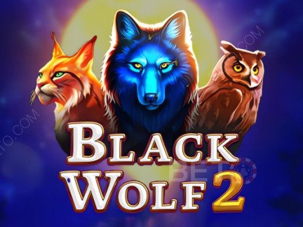 Black Wolf 2 نسخة تجريبية