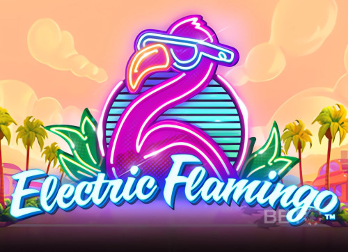 Electric Flamingo