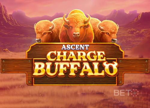 Charge Buffalo-ASCENT