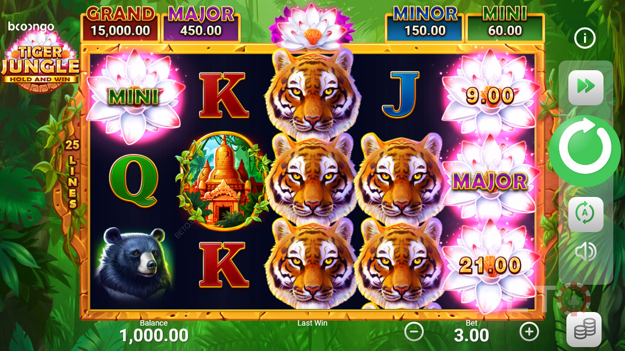 الجوائز الأرضية في فتحات مثل Tiger Jungle Hold and Win