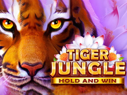 Tiger Jungle Hold and Win نسخة تجريبية
