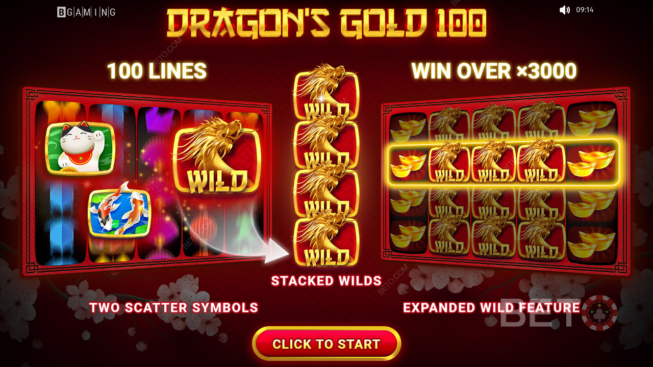شاشة مقدمة Dragon