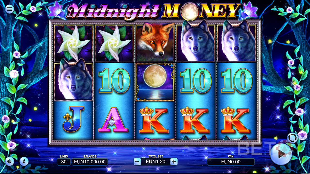 مخطط اللون الأزرق Midnight Money