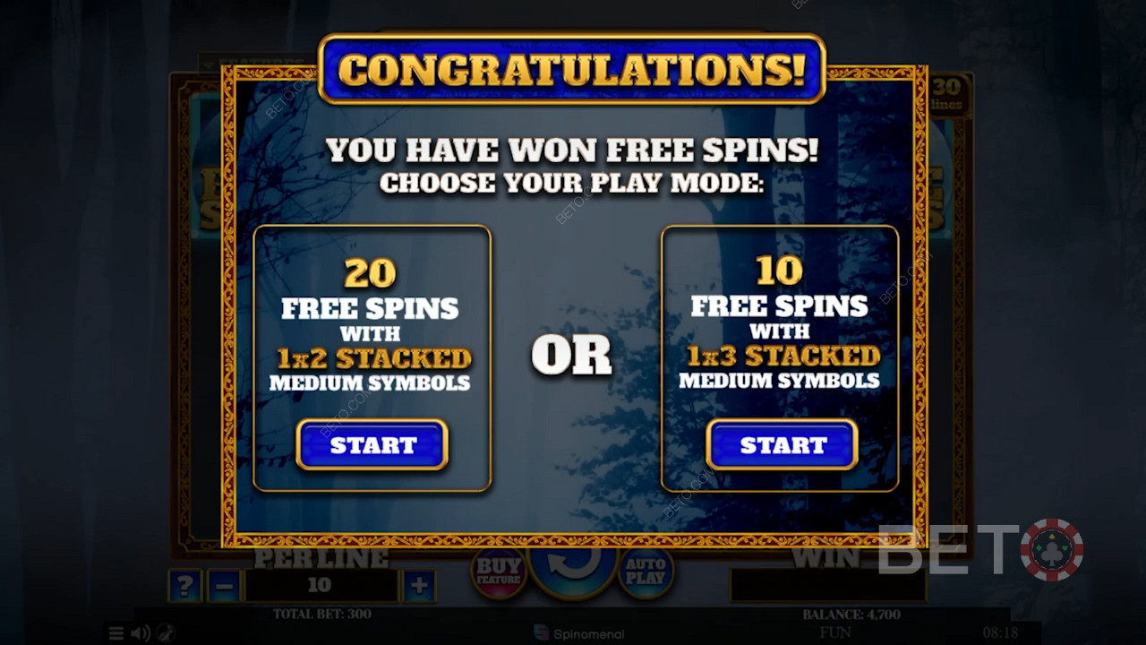 قم بتنشيط وضع Free Spins واختر من بين نوعين من مكافآت Free Spins