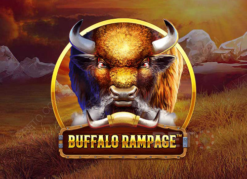 Buffalo Rampage