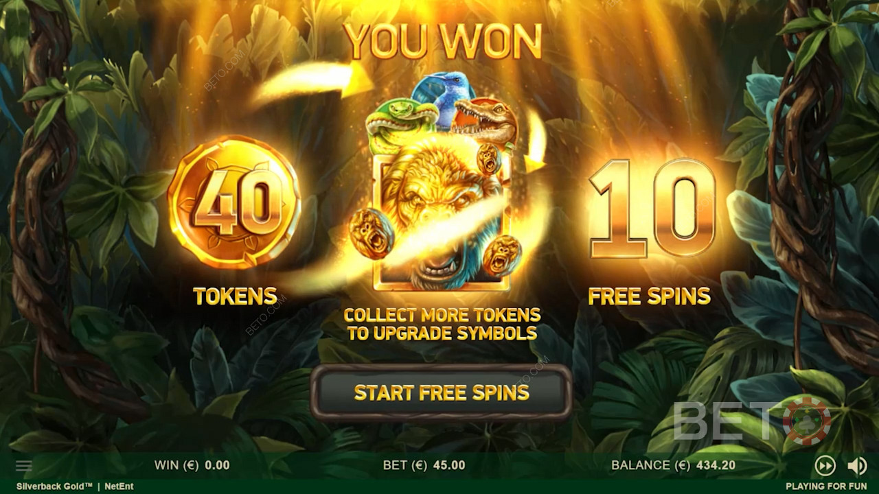 شاشة المقدمة Silverback Gold