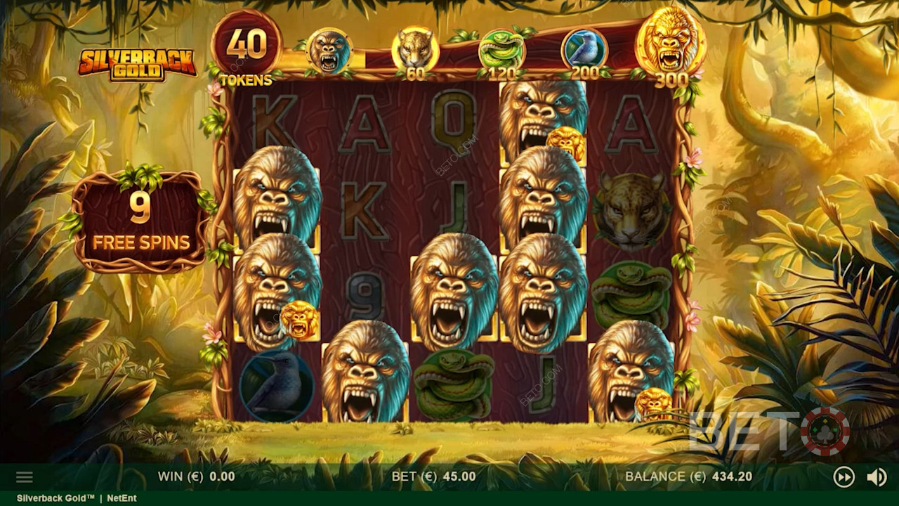 الغوريلا البرية في جميع أنحاء شبكة Silverback Gold