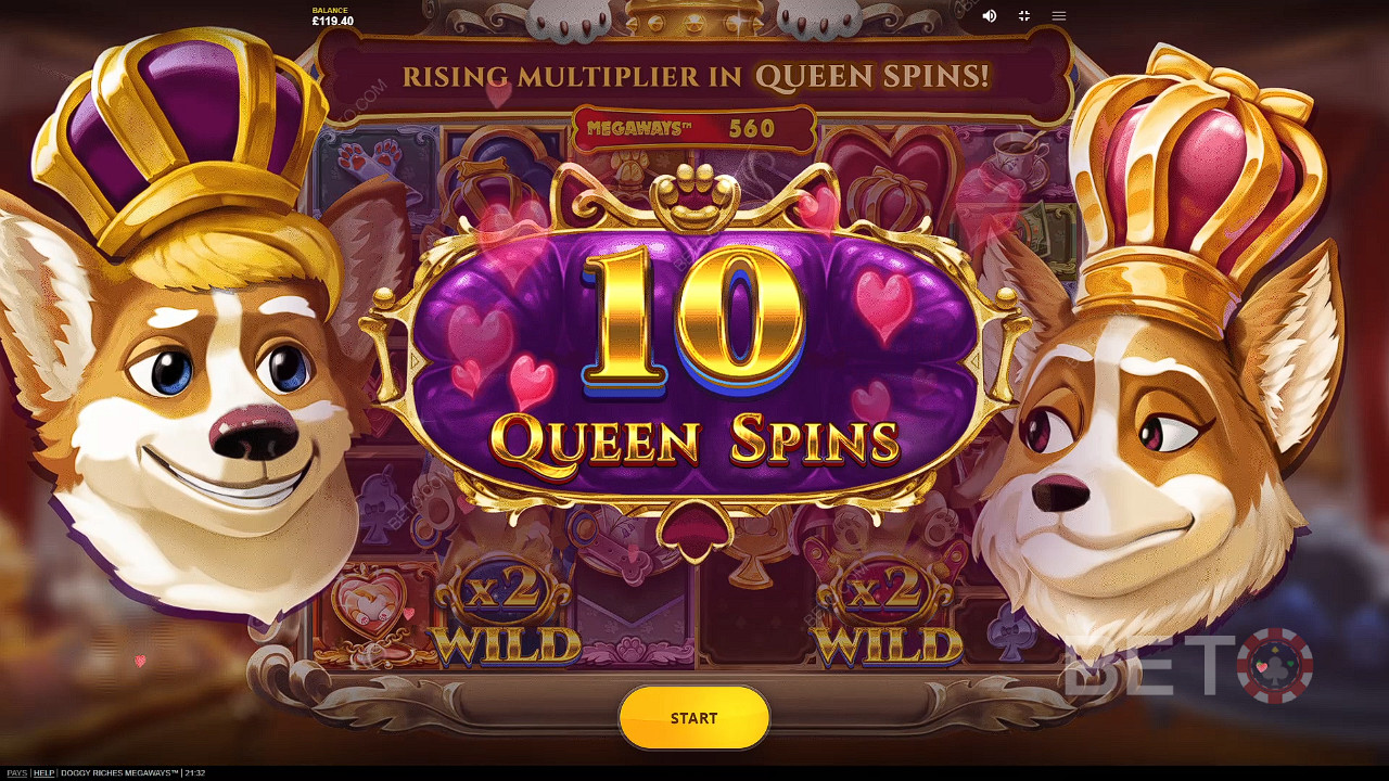 استمتع بـ 10 دورات مجانية في فتحة Doggy Riches Megaways