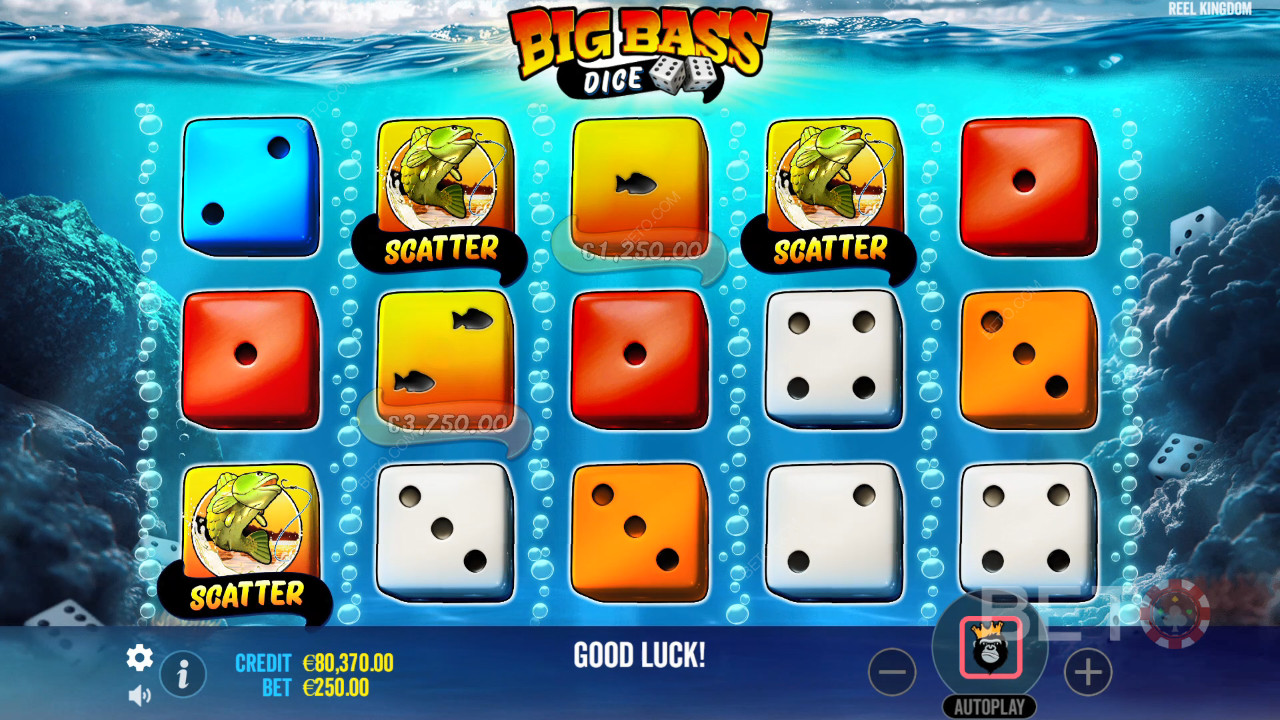 مراجعة Big Bass Dice Dice من BETO Slots