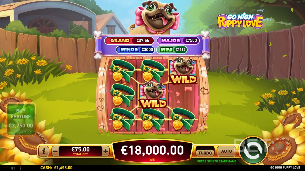 مراجعة Go High Puppy Love من BETO Slots