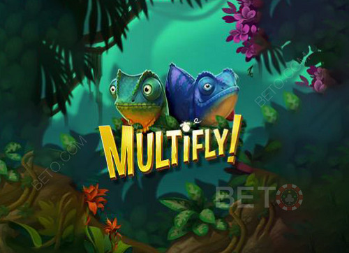 MultiFly