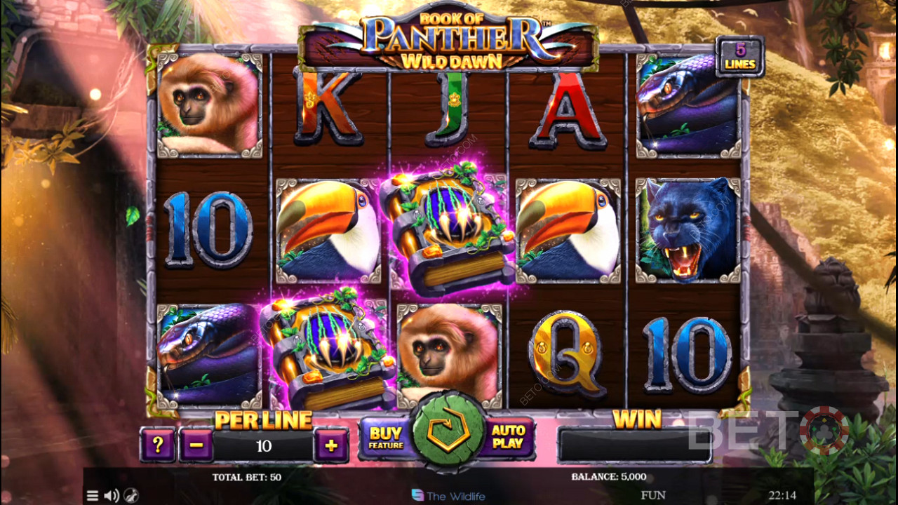 استمتع بموضوع بري غامر في Book of Panther Wild Dawn