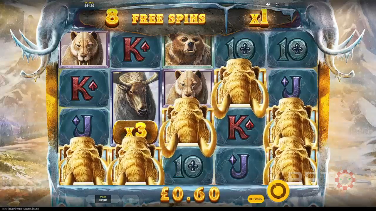 مراجعة Wild Tundra بواسطة BETO Slots